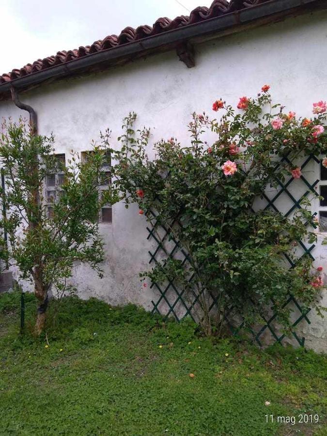 Beb Infamiglia Bed & Breakfast Cascinette Exterior photo